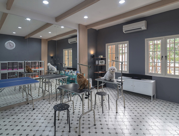 咖啡館寵物店裝修注意事項(xiàng)？